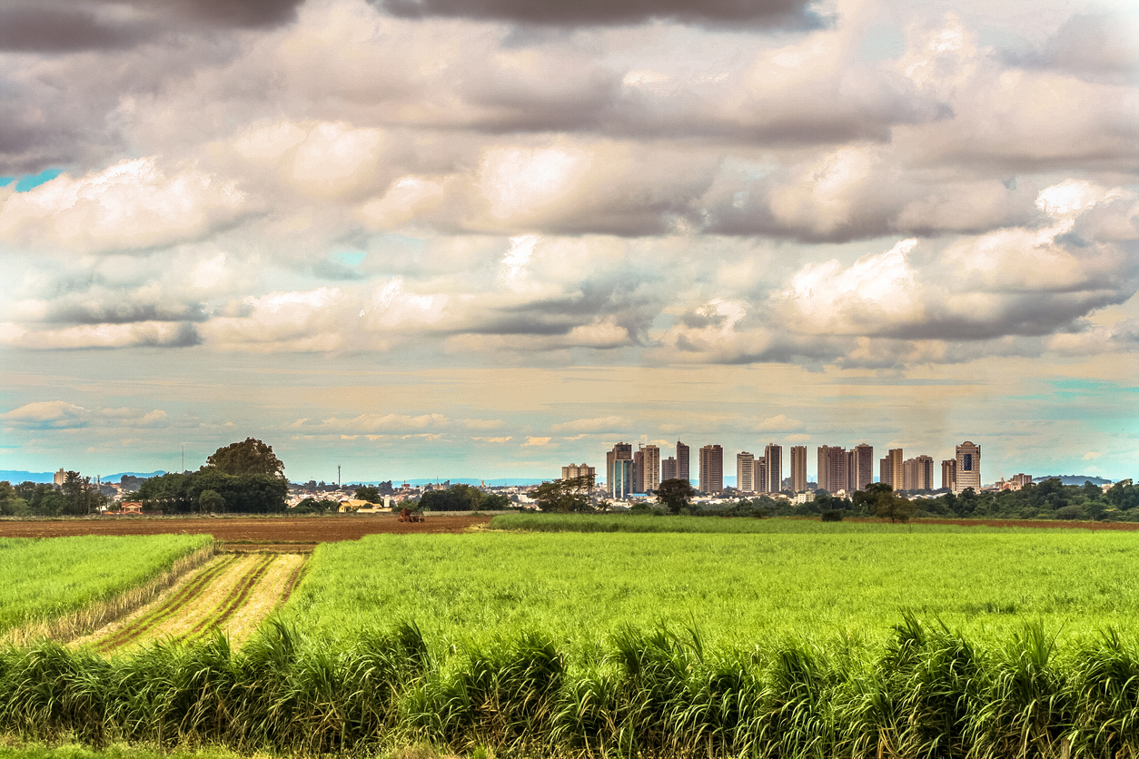 Landscape image of open green space with high-rises in the background